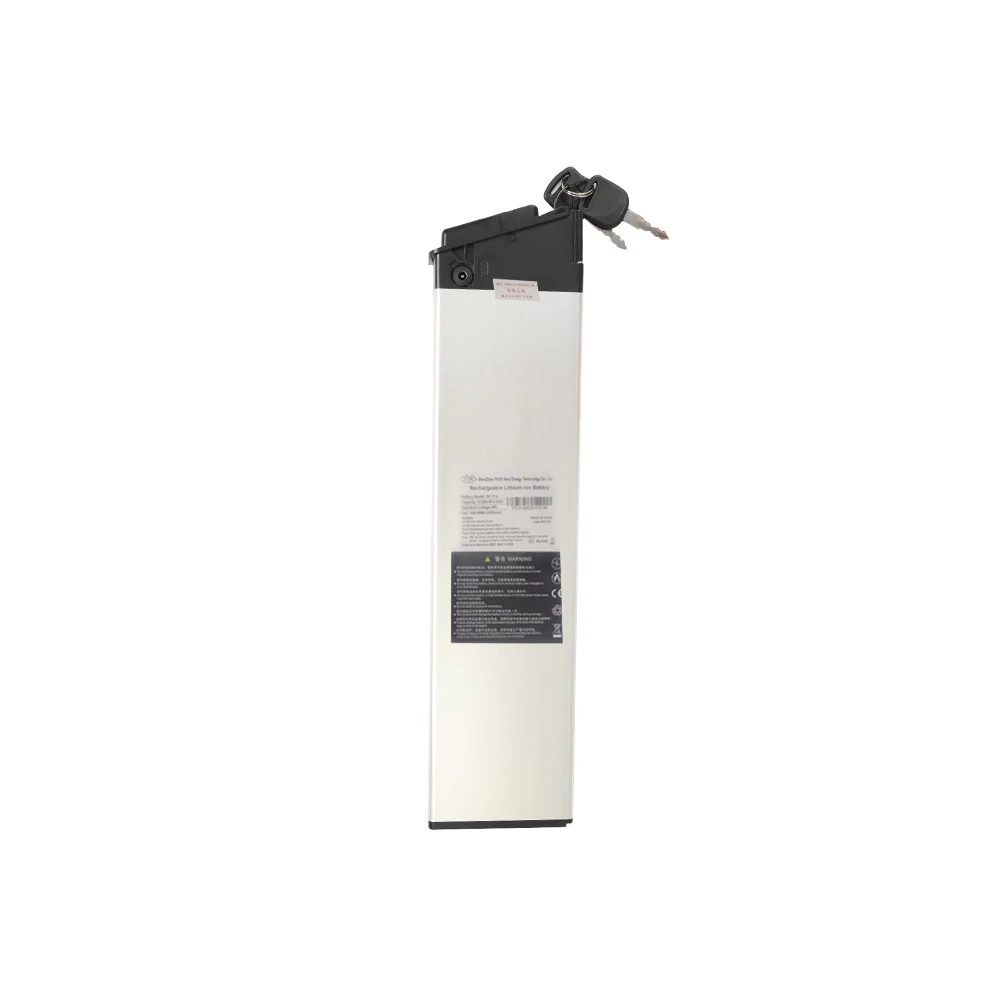 Additional Fiido Electric Bike Battery for M21