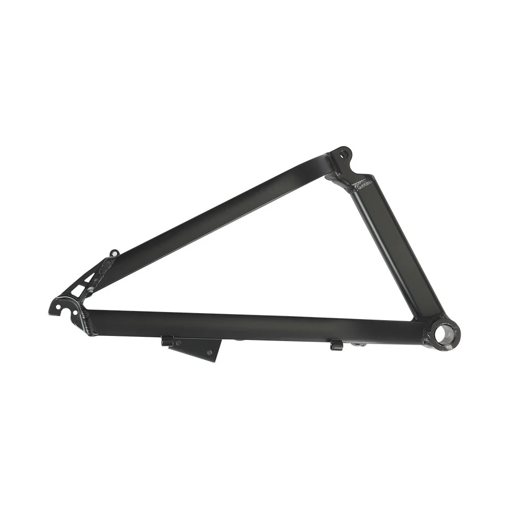 Fiido electric bike rear frame for M1 Pro (2024)
