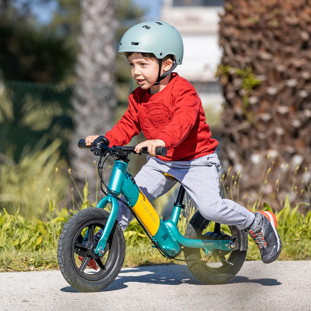 Fiido Kidz Electric Balance Bike-1 - Image 5