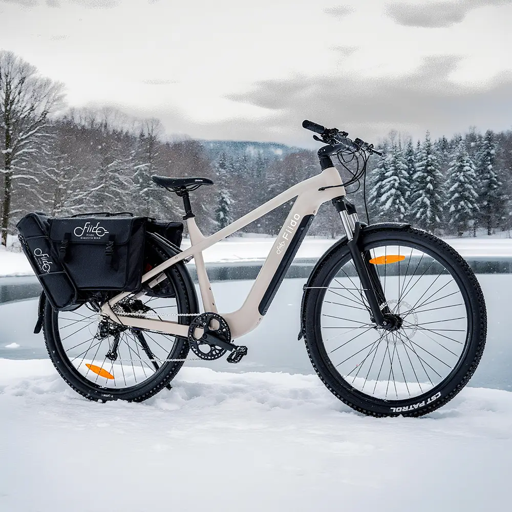 Fiido Nomads Touring E-bike - Image 4