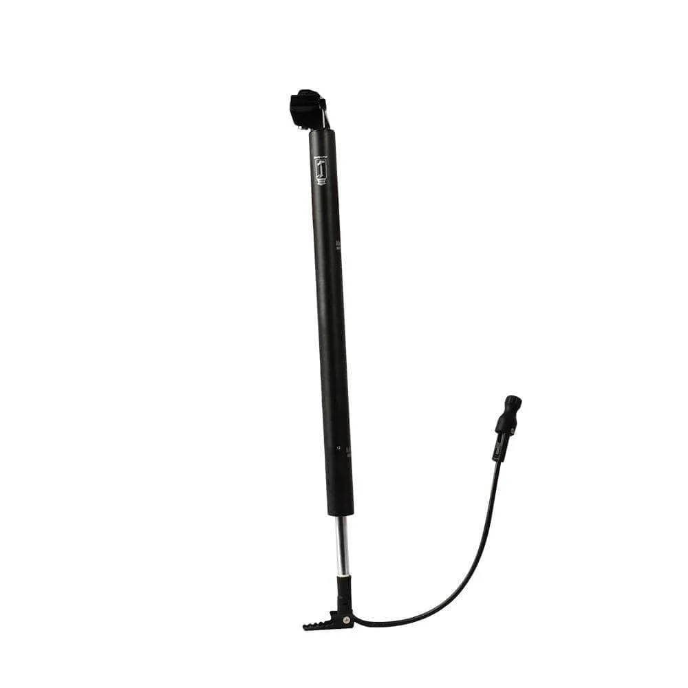 Fiido Bike Pump Seatpost for L3/D2S/D4S/M1/M21/D3 Pro