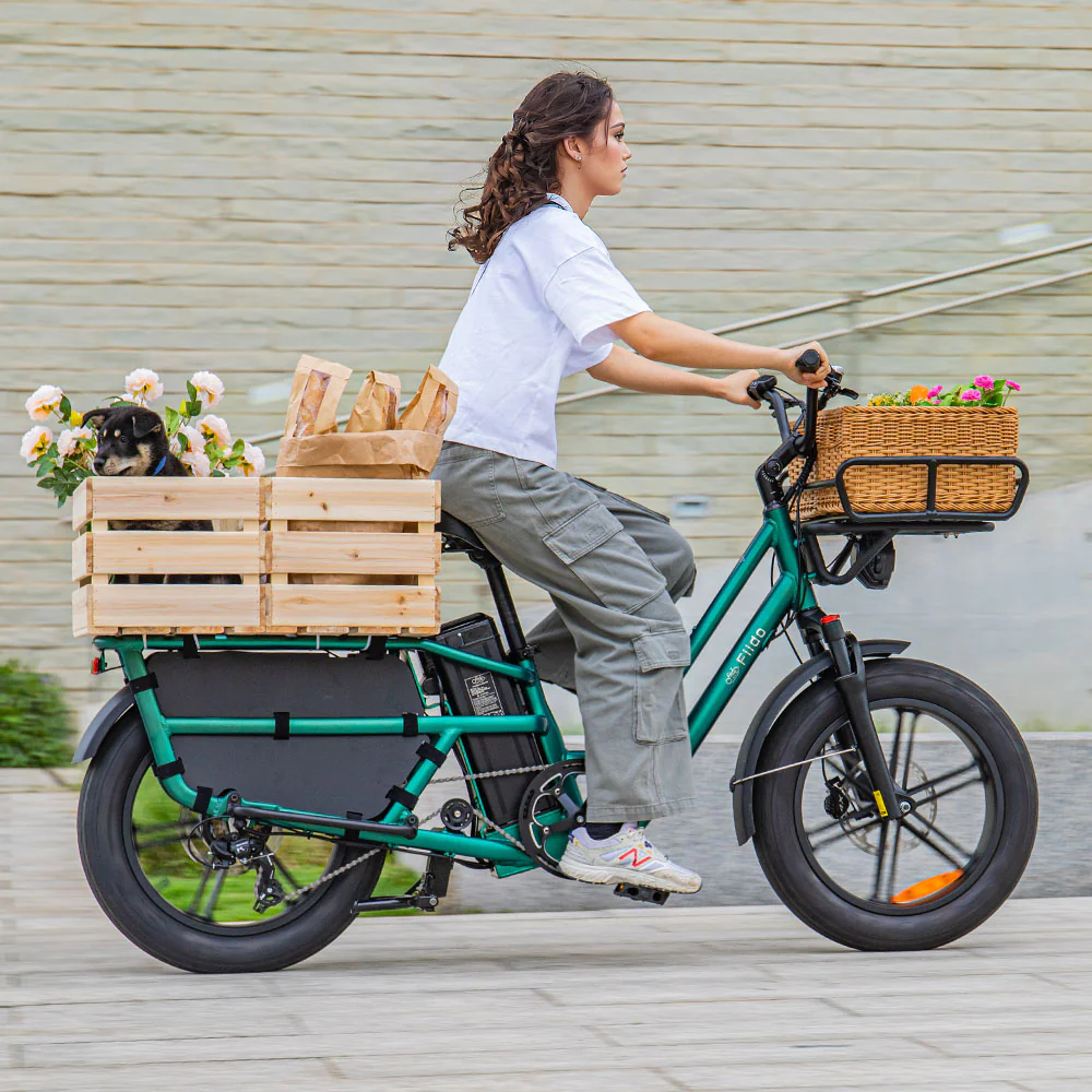 Fiido T2 Longtail Cargo E-bike - Image 3